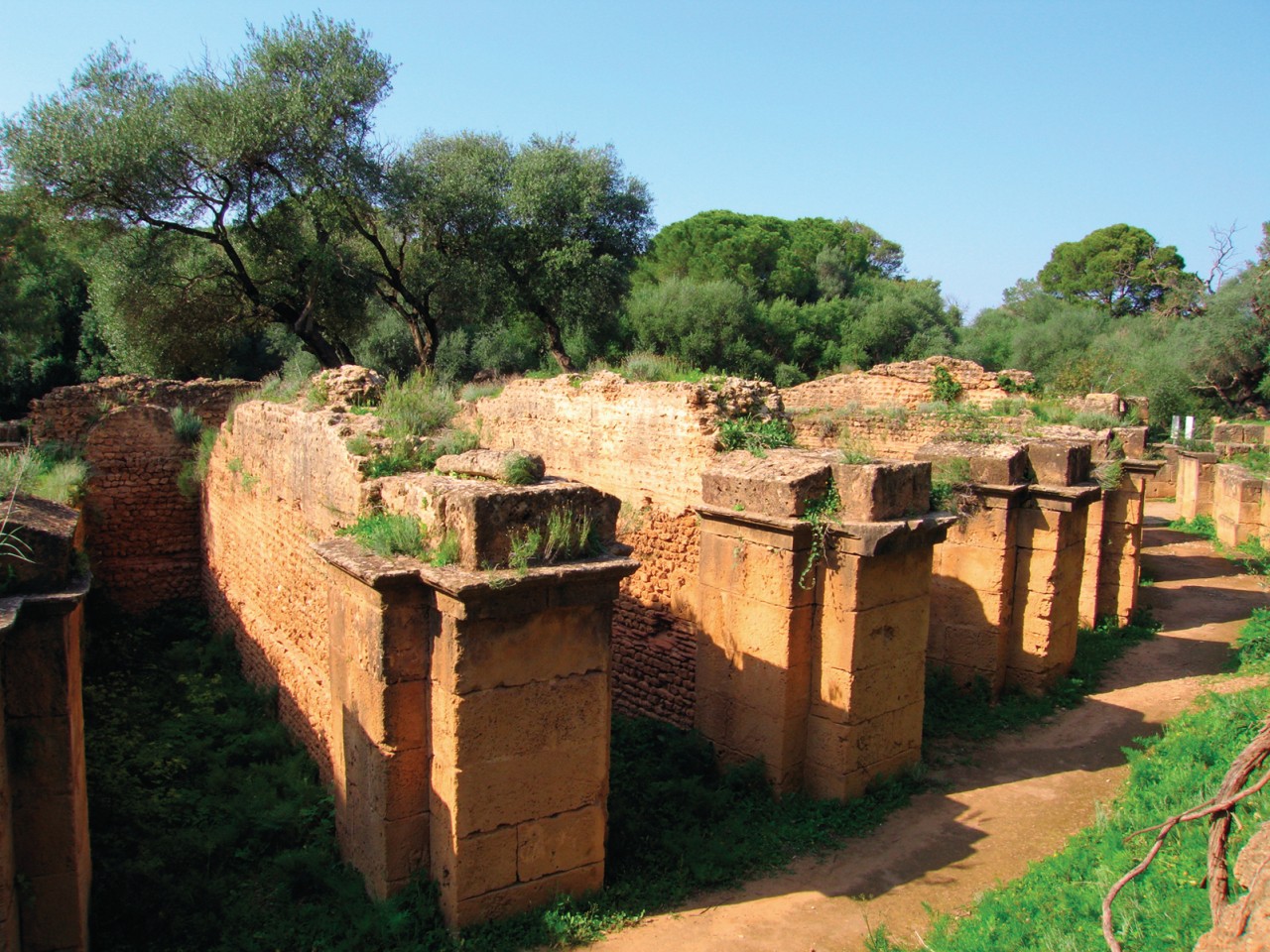 Site archéologique de Tipasa.