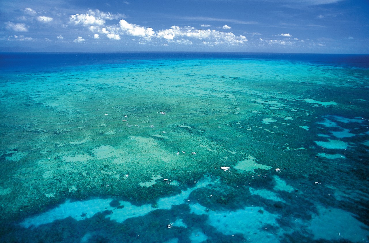 Great Reef Reef.