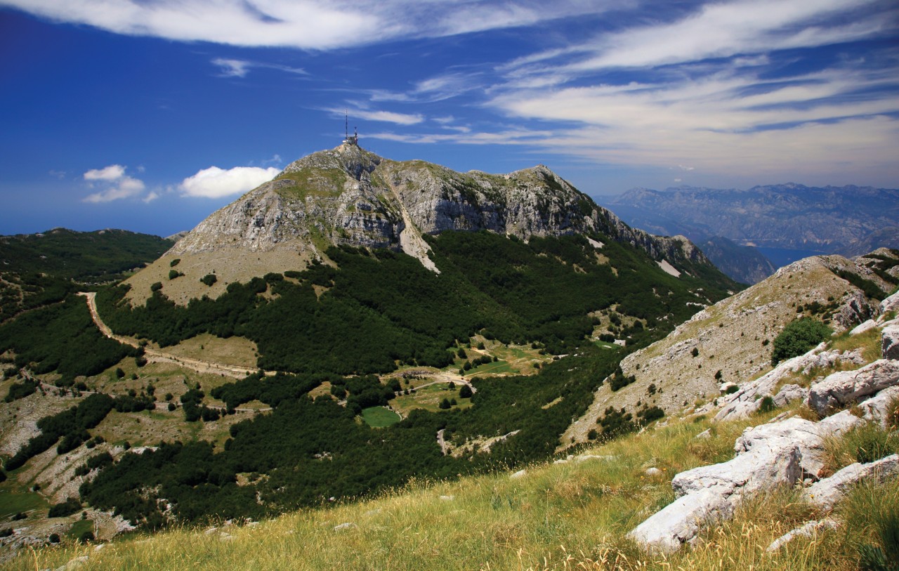 Parc national du Lovćen.