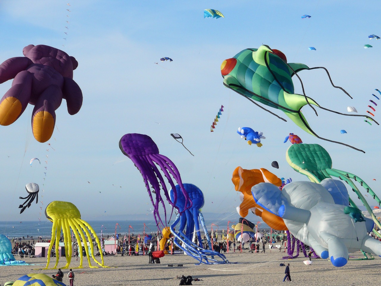 Festival des cerfs volants en Côte d'Opale.