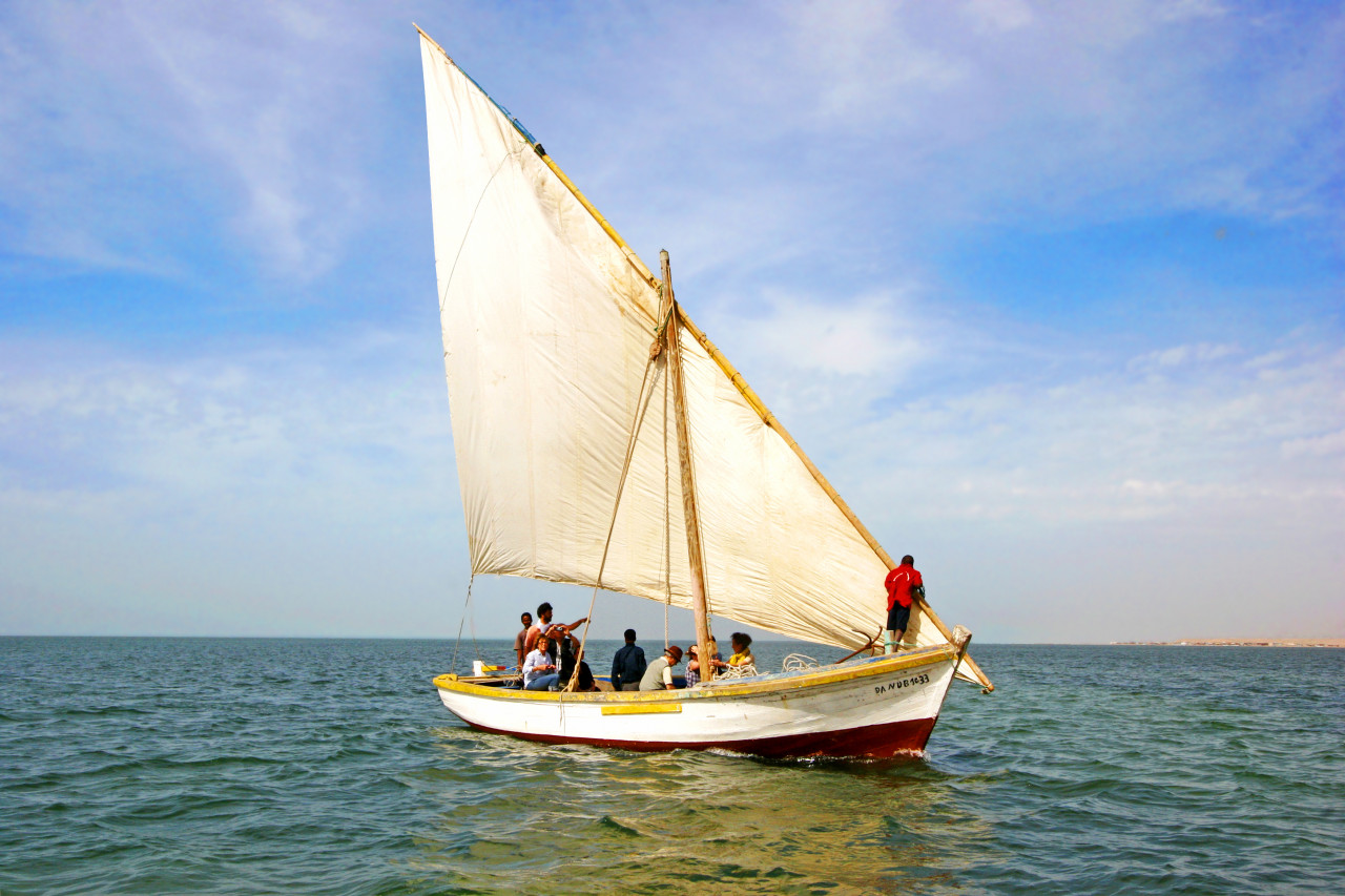 Parc national du Banc d'Arguin.