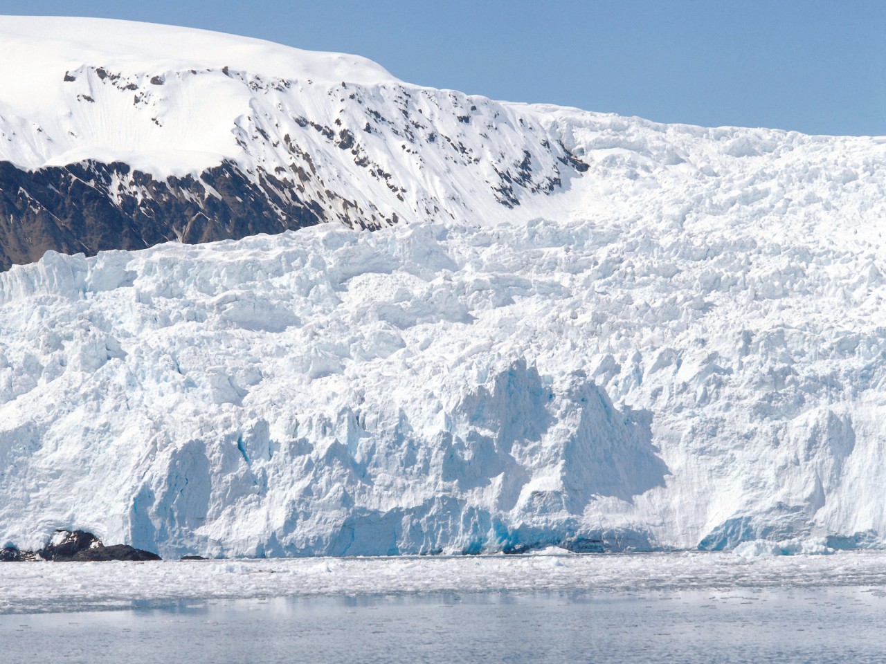 Glacier Harding, Kenai Fjords National Park.