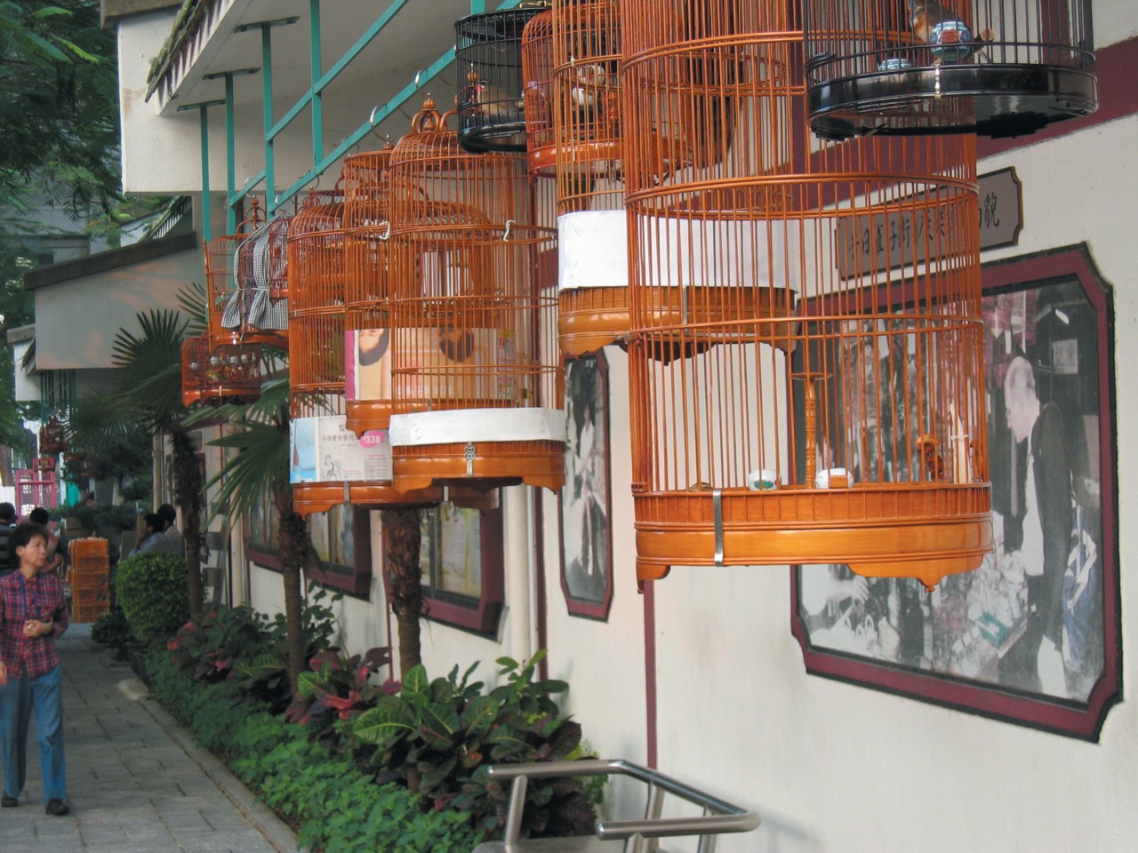 Le marché aux oiseaux, cages suspendues, Kowloon.