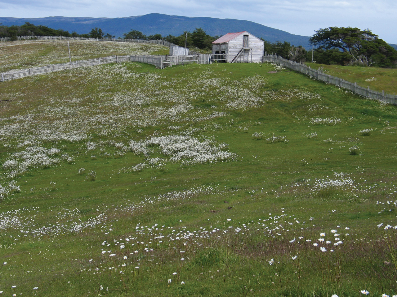 Près de l'estancia Harberton.