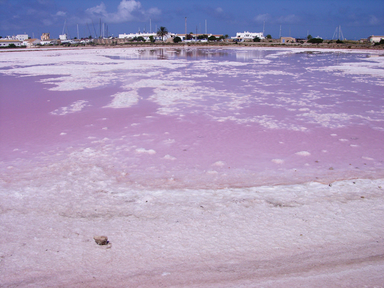 Ses Salines (Formentera).