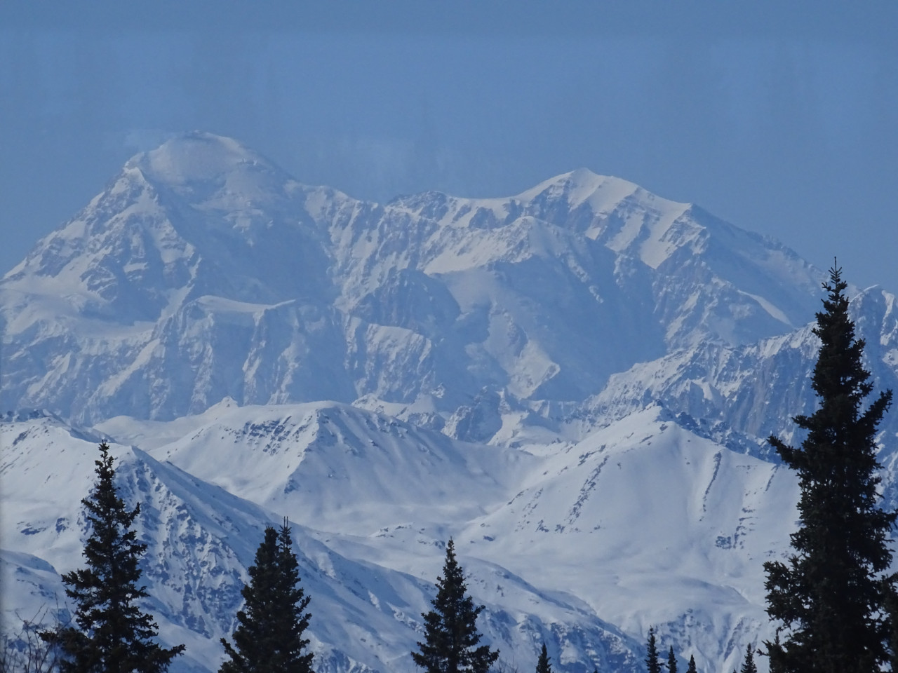 Vue sur le Mont Denali.