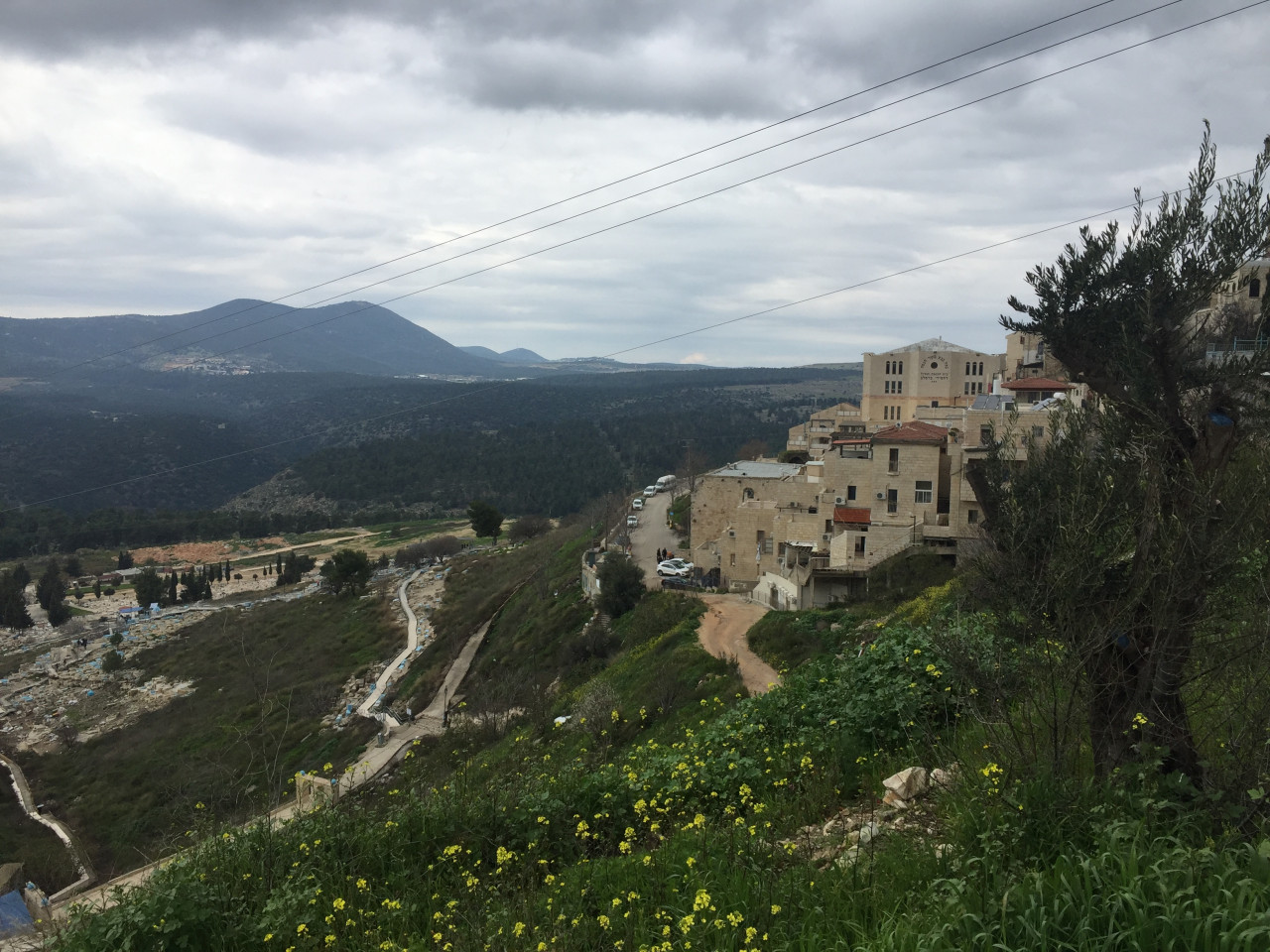 Vue d'ensemble, Safed.
