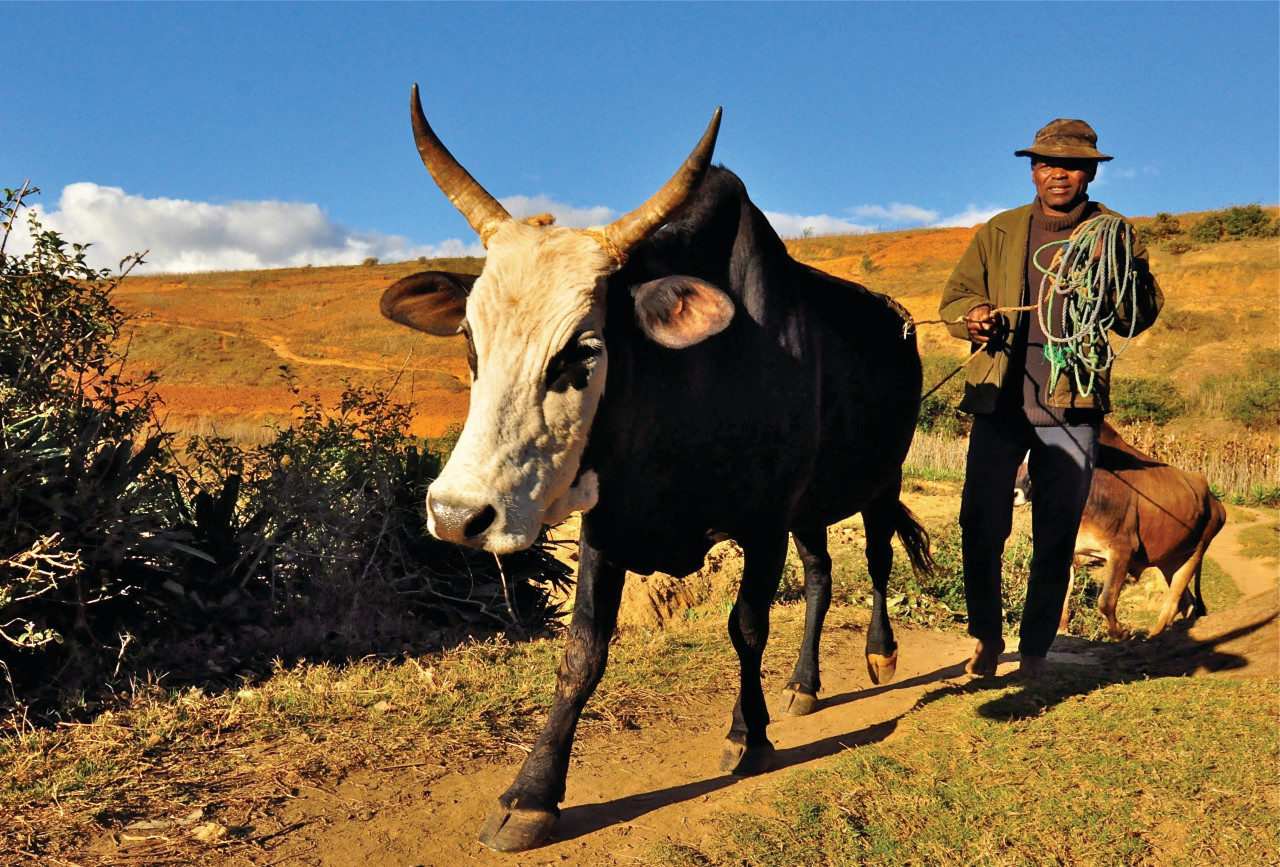Ambatomanga, pequeño pueblo situado a 50 km al este de Antananarivo.