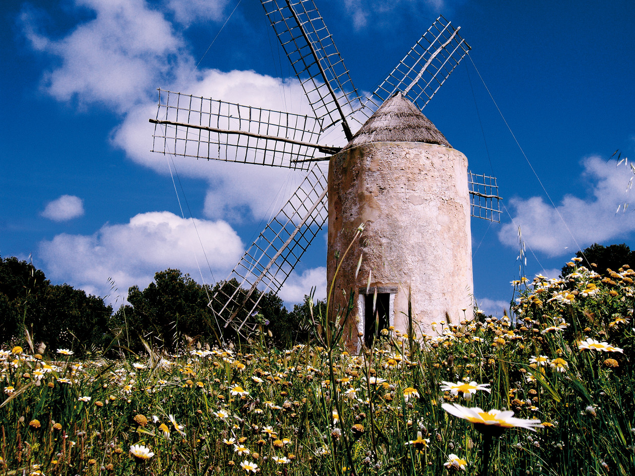 Molí Vell - Vieux moulin.