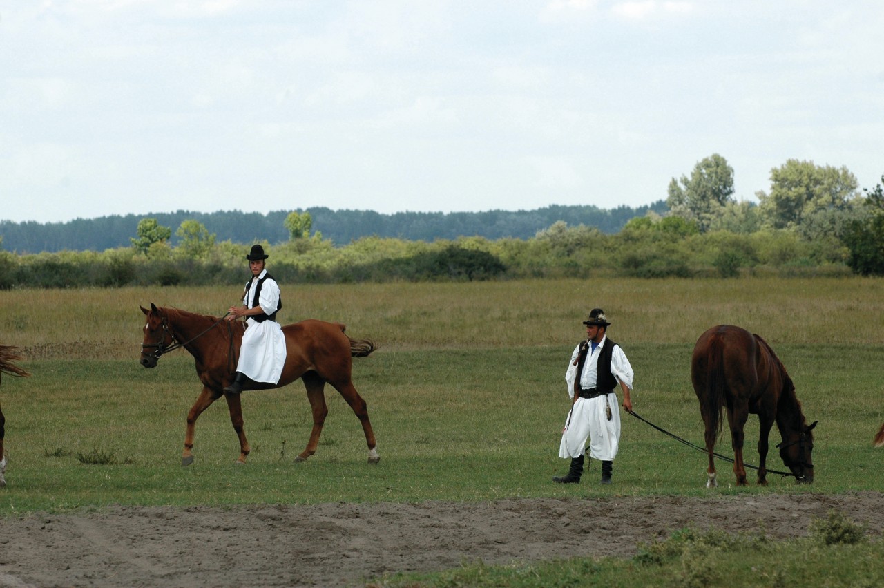 Cavaliers Csikos sur la Puszta.