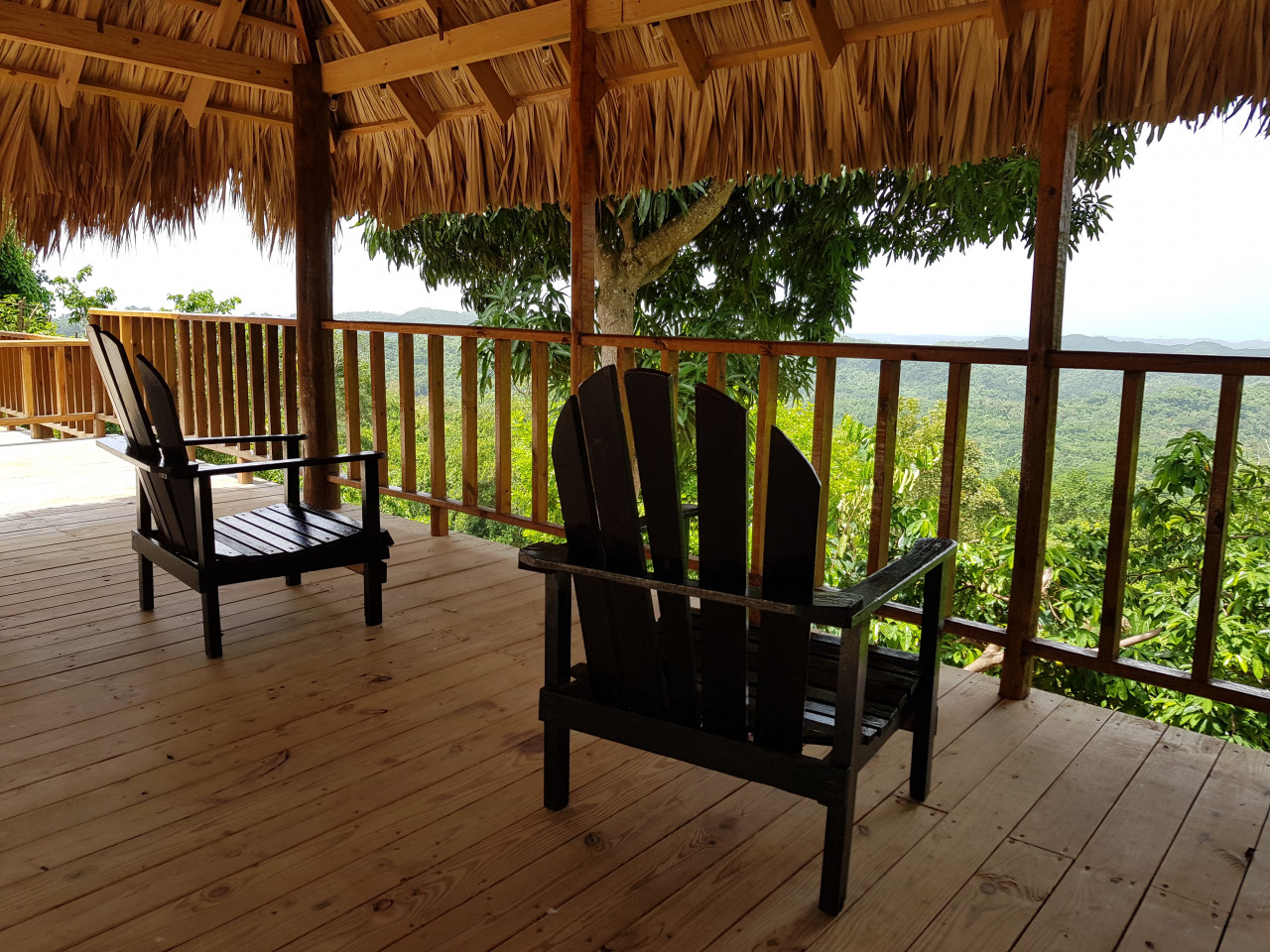 La nature luxuriante derrière Negril.