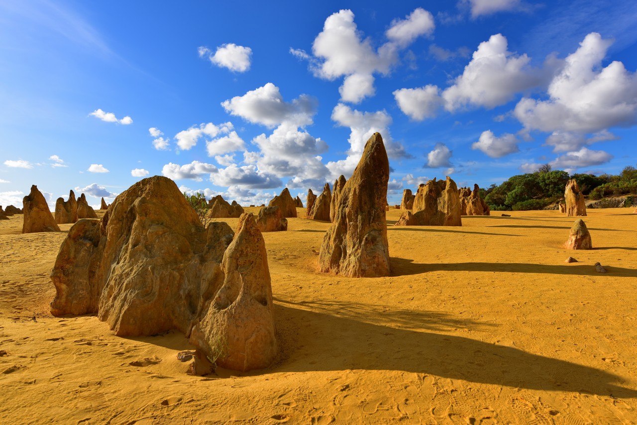 Le Pinnacles Desert, célèbre pour ses formations rocheuses calcaires, dans le parc national de Na.
