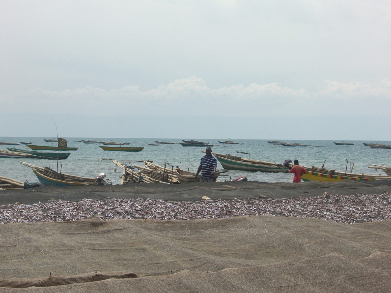 Séchage du poisson sur le littoral du Tanganyika.