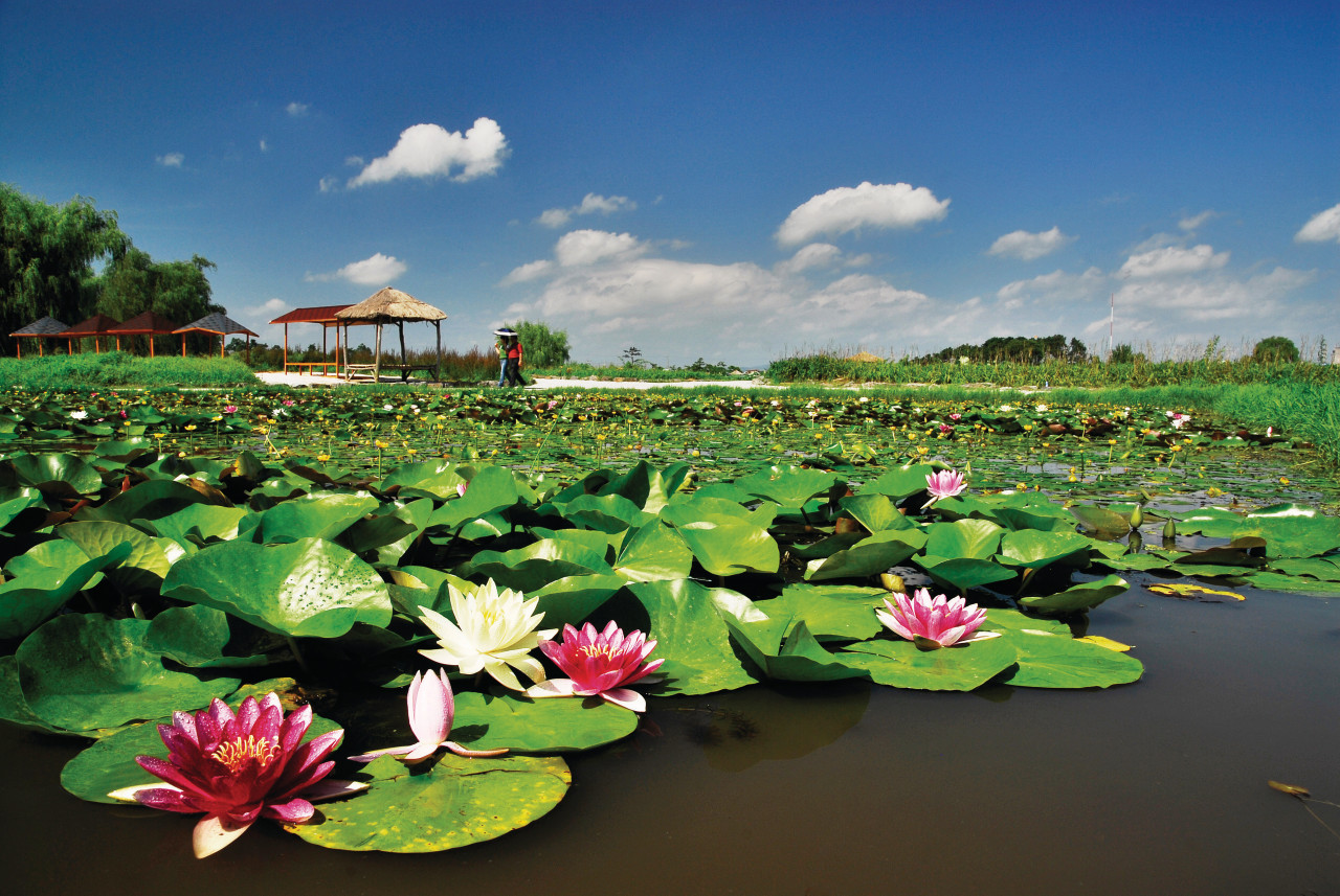 Gungnamji Basin.