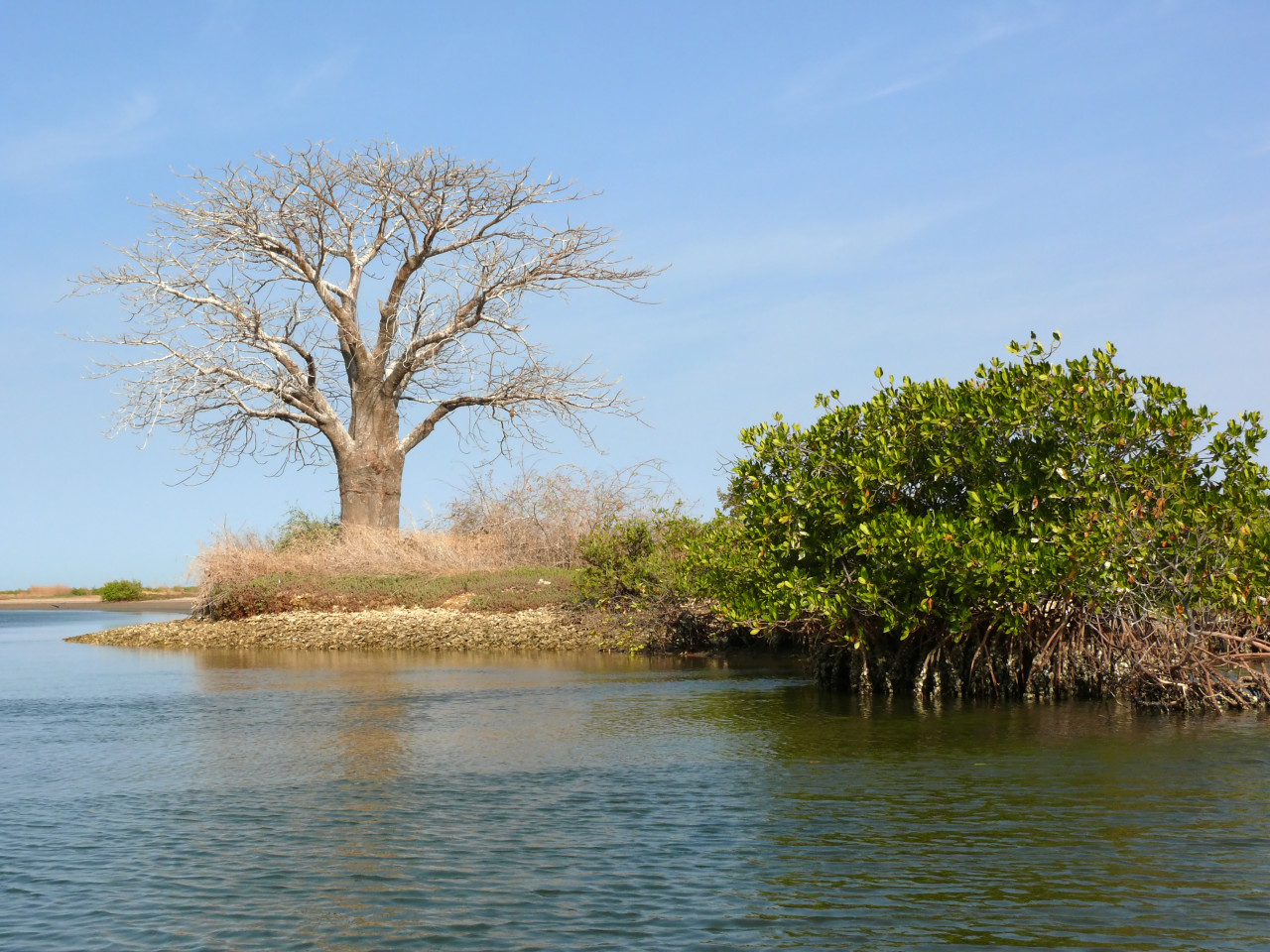 Delta du Saloum.