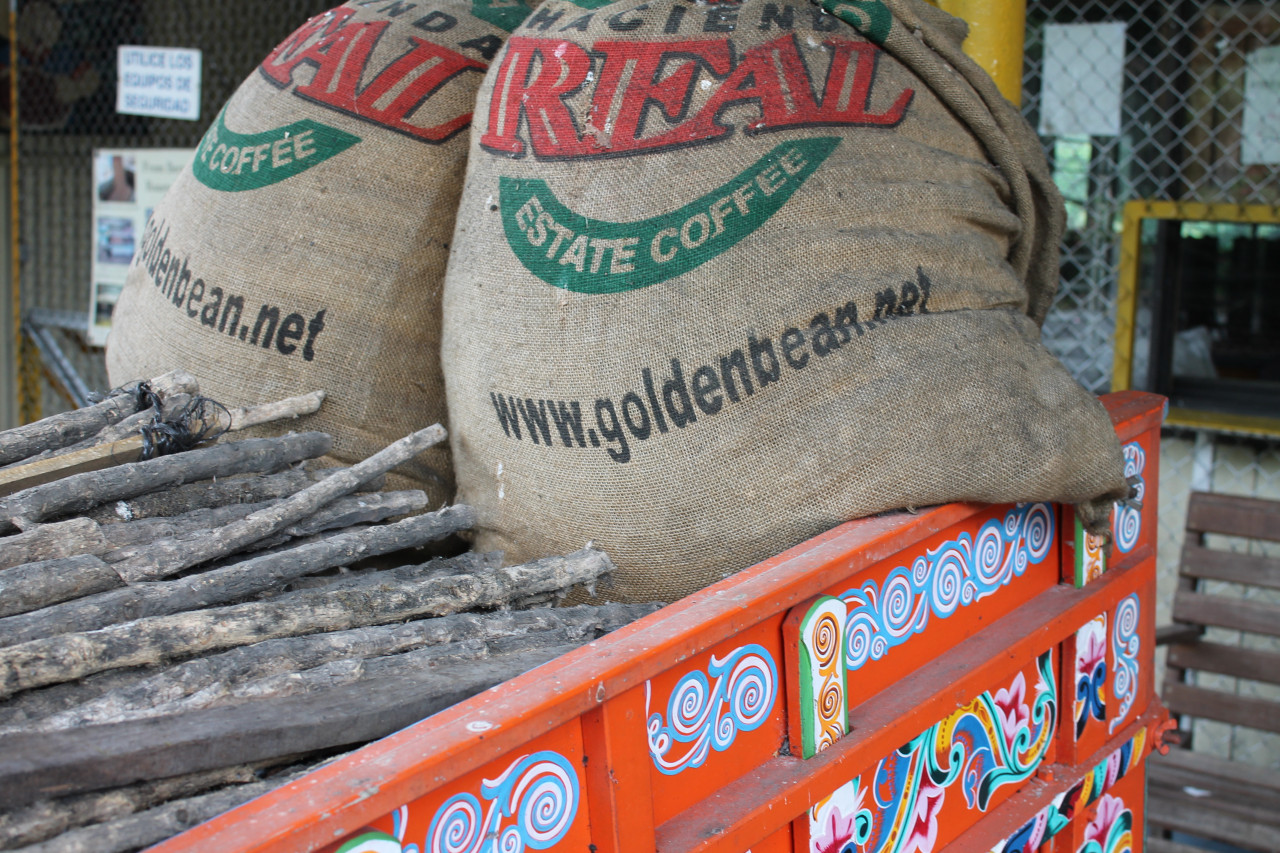 Couleur café !