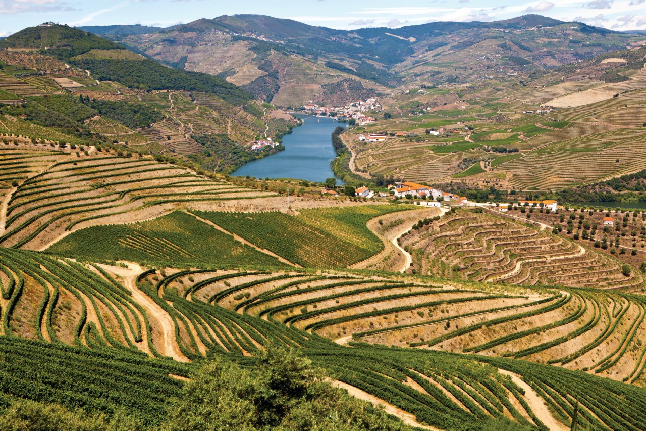 La vallée du Douro, près de Pinhão.