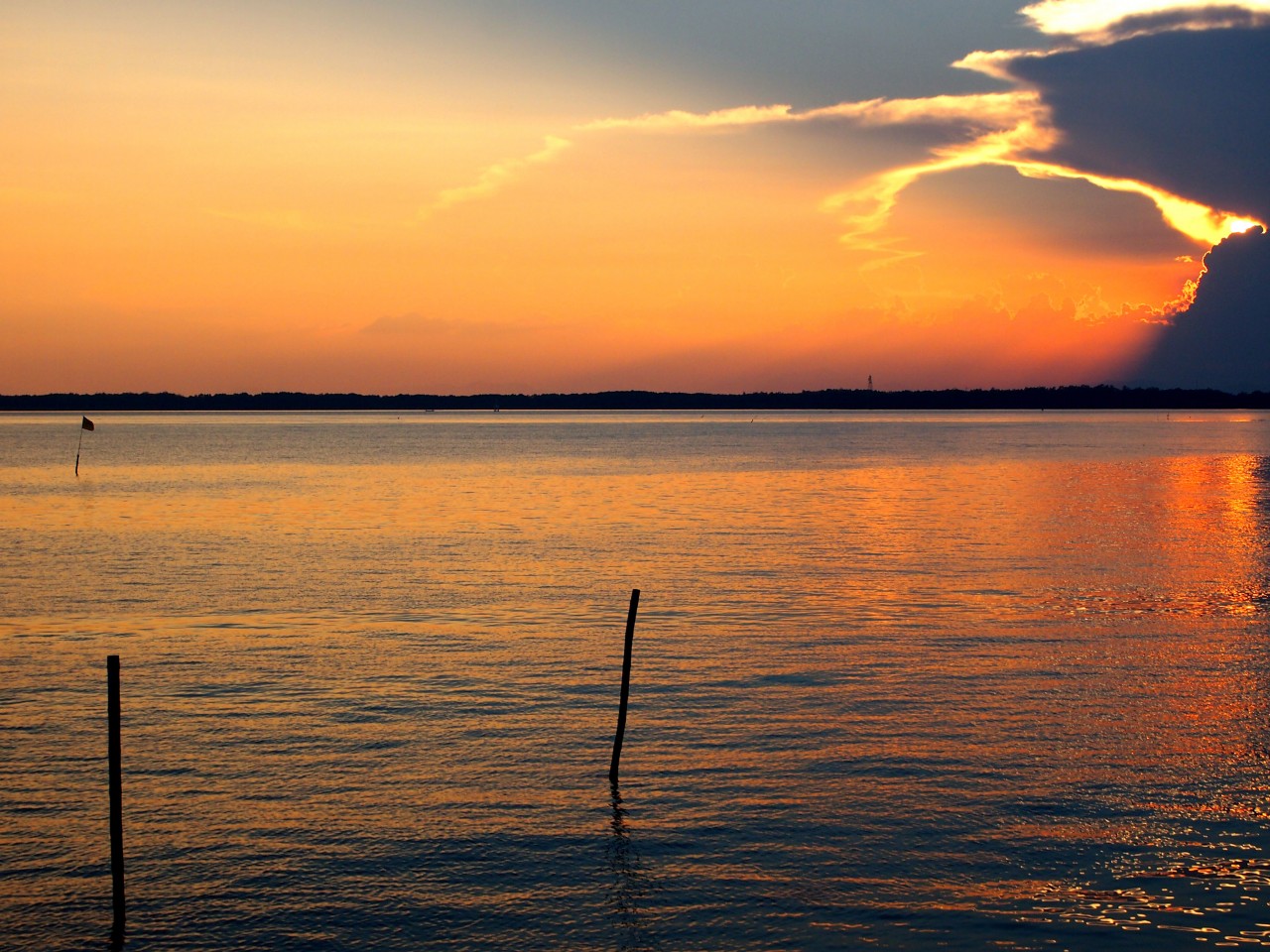 Coucher de soleil à Don Hoi Lot, Samut Songkhram proche de Bangkok.