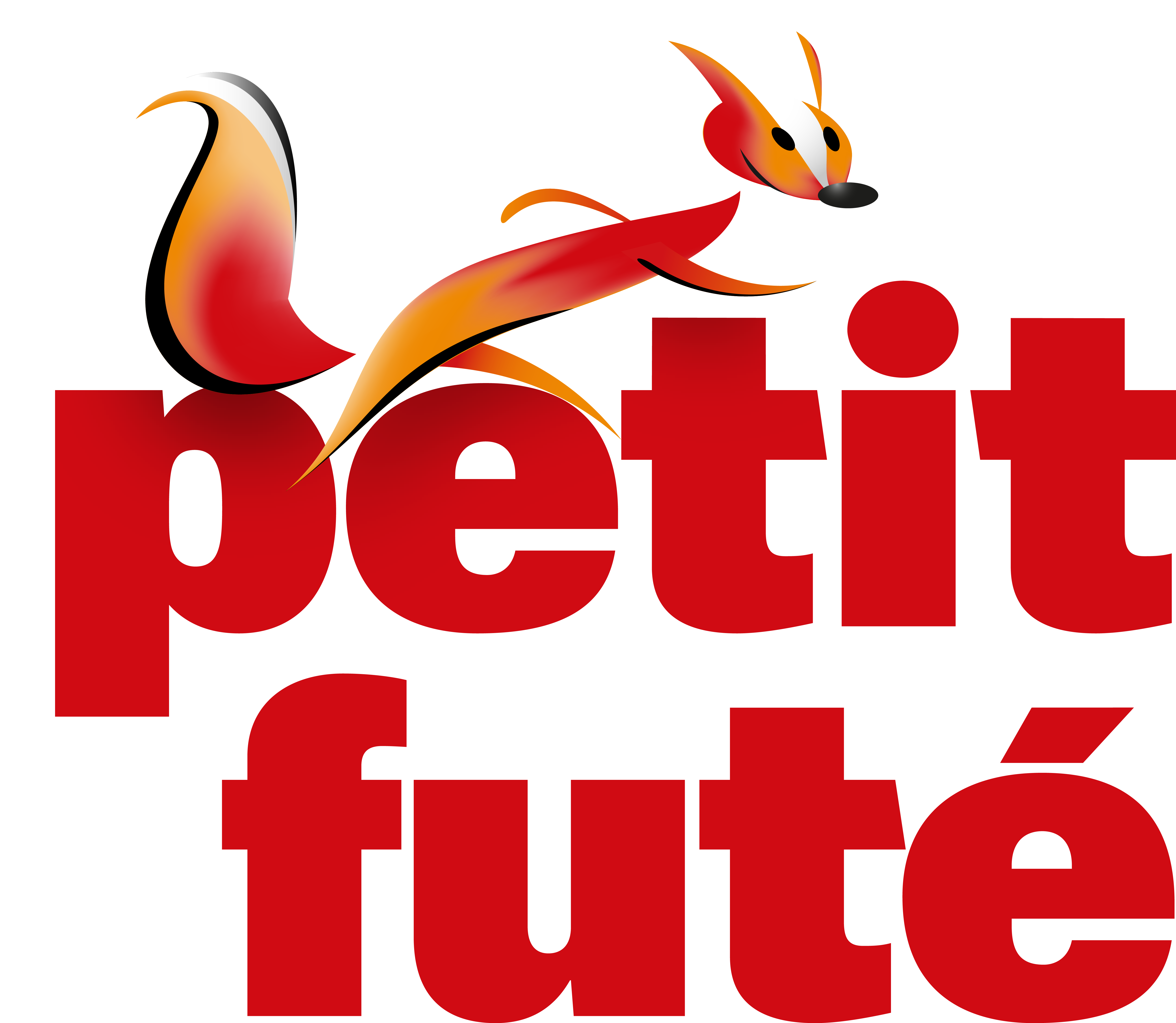 Guides de voyage Petit futé – Espace presse et médias ...