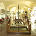MAISON DE LA NÉGRITUDE ET DES DROITS DE L'HOMME
