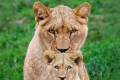 Zoo de La Boissière du Doré