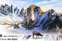 MUSÉE DES MINÉRAUX ET DE LA FAUNE DES ALPES