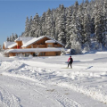 CHALET HÔTEL-RESTAURANT VACCA PARK
