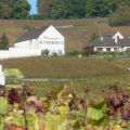 CHAMPAGNE G. TRIBAUT