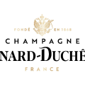 CHAMPAGNE CANARD DUCHENE