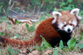 ZOO DE BARCELONA