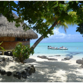 TEREMOANA DAY TOURS