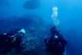 DIVE CONCEPTS LEMBONGAN