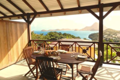 COCO D'ILES LES SAINTES