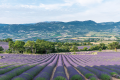 OFFICE DE TOURISME DES BARONNIES