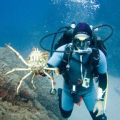 NAUTICA PLONGÉE
