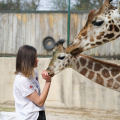 PARC ZOOLOGIQUE D'AMNÉVILLE