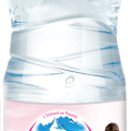 SOCIÉTÉ DES EAUX MINÉRALES D'AIX-LES-BAINS