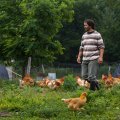 FERME AUBERGE DE PLUME CANE