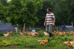 FERME AUBERGE DE PLUME CANE