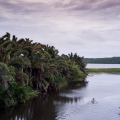KOSI FOREST LODGE