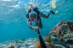 EXCURSION MER MARTINIQUE