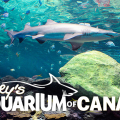 RIPLEY'S AQUARIUM OF CANADA