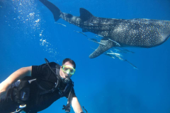 TREK DIVERS PLONGÉE