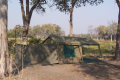 WALKING STICK SAFARIS