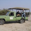 STEENBOK SAFARIS