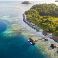 PAPUA PARADISE ECO RESORT