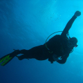 DIVE POINT ZANZIBAR