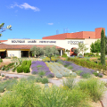 L'OCCITANE EN PROVENCE