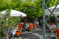 RESTAURANT LES MURIERS