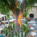 CAFÉ AUVERGNE